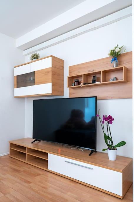 Spacious Stone Belvedere Apartament *