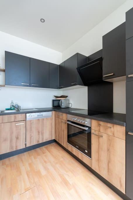 Spacious Stone Belvedere Apartament Viena
