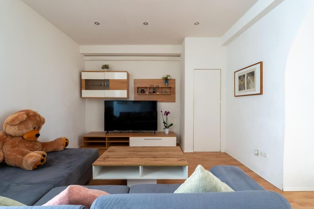 Spacious Stone Belvedere Apartament Viena
